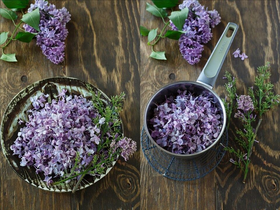 decoction of lilac to improve strength