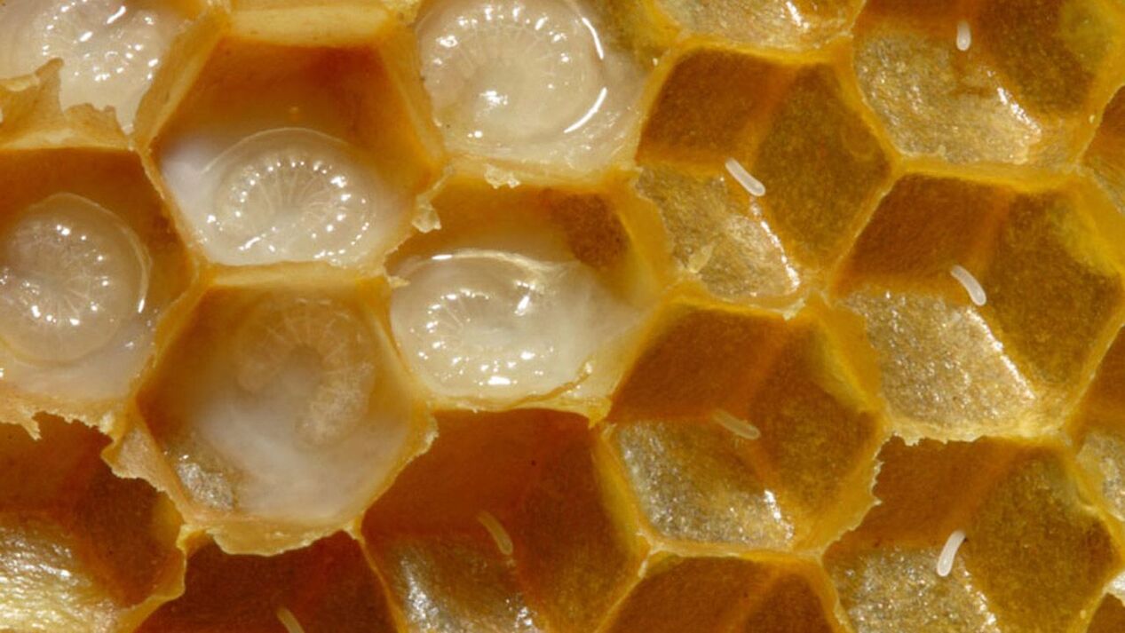 royal jelly to improve strength